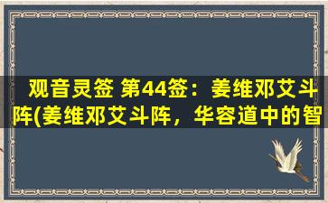 观音灵签 第44签：姜维邓艾斗阵(姜维邓艾斗阵，华容道中的智慧之战)